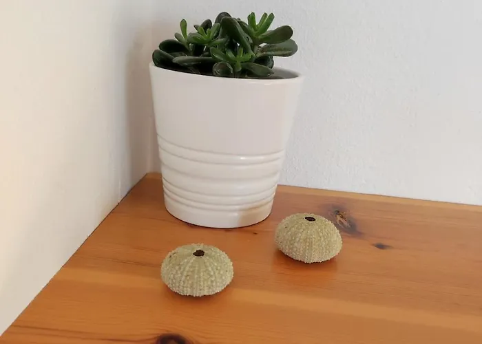 Loft Casa Burgao アパート