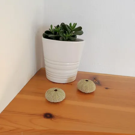 Loft Casa Burgao Apartment